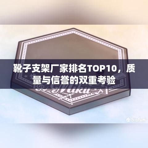 靴子支架厂家排名TOP10，质量与信誉的双重考验