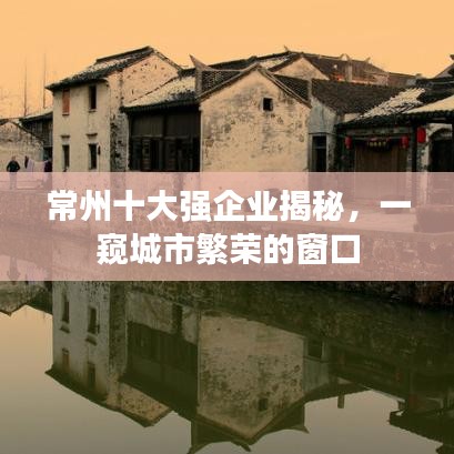 常州十大强企业揭秘，一窥城市繁荣的窗口