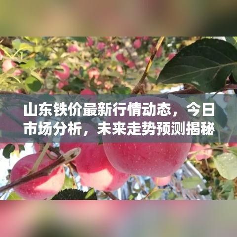 2025年6月27日 第7页