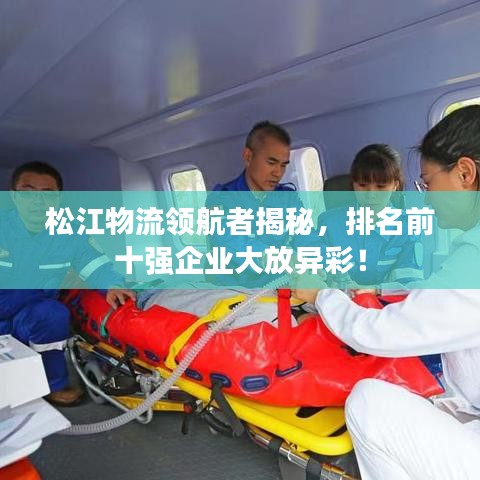 松江物流领航者揭秘，排名前十强企业大放异彩！