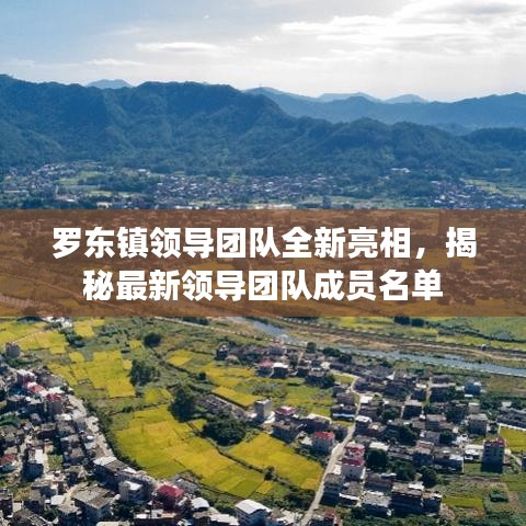 罗东镇领导团队全新亮相，揭秘最新领导团队成员名单