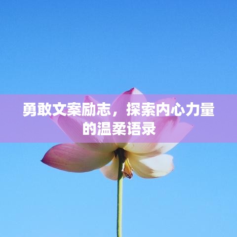 勇敢文案励志，探索内心力量的温柔语录