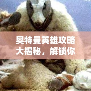 奥特曼英雄攻略大揭秘，解锁你的英雄之路之旅