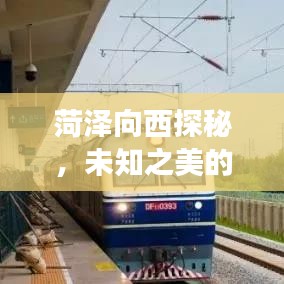 菏泽向西探秘，未知之美的旅游攻略