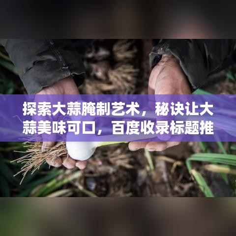 探索大蒜腌制艺术，秘诀让大蒜美味可口，百度收录标题推荐