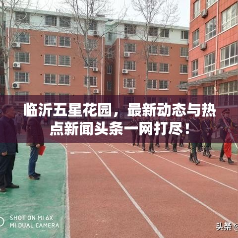 临沂五星花园，最新动态与热点新闻头条一网打尽！