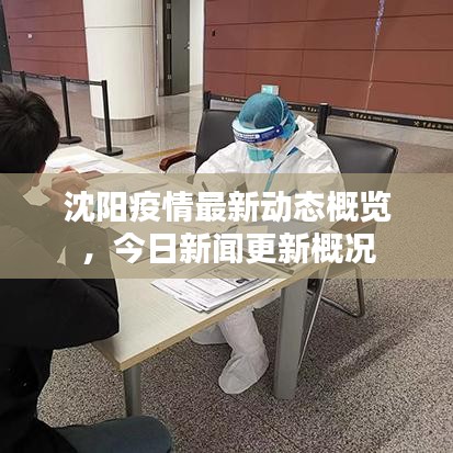 沈阳疫情最新动态概览，今日新闻更新概况