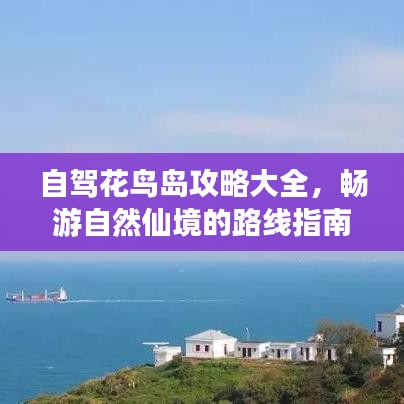 自驾花鸟岛攻略大全，畅游自然仙境的路线指南