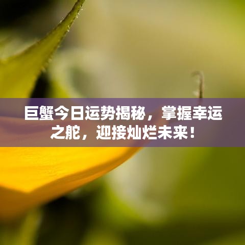 巨蟹今日运势揭秘，掌握幸运之舵，迎接灿烂未来！