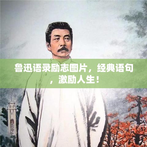 鲁迅语录励志图片，经典语句，激励人生！