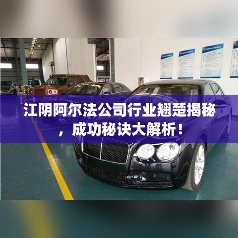 江阴阿尔法公司行业翘楚揭秘，成功秘诀大解析！