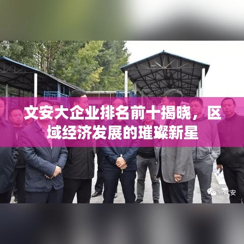 文安大企业排名前十揭晓，区域经济发展的璀璨新星
