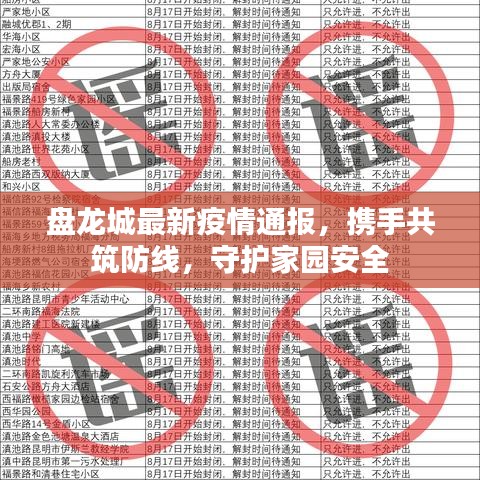 盘龙城最新疫情通报，携手共筑防线，守护家园安全