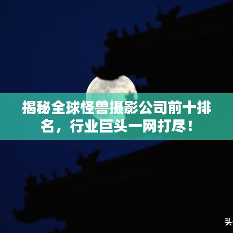 揭秘全球怪兽摄影公司前十排名，行业巨头一网打尽！