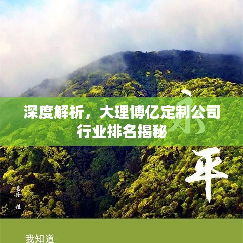 深度解析，大理博亿定制公司行业排名揭秘