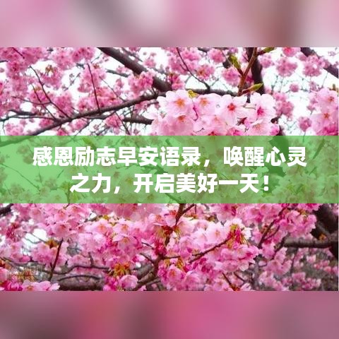 感恩励志早安语录，唤醒心灵之力，开启美好一天！