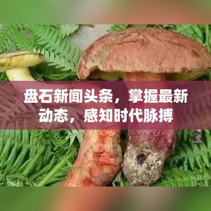 盘石新闻头条，掌握最新动态，感知时代脉搏