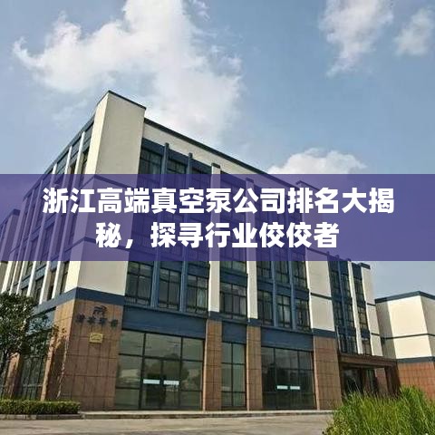 浙江高端真空泵公司排名大揭秘，探寻行业佼佼者