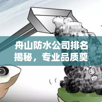 舟山防水公司排名揭秘，专业品质奠定行业地位