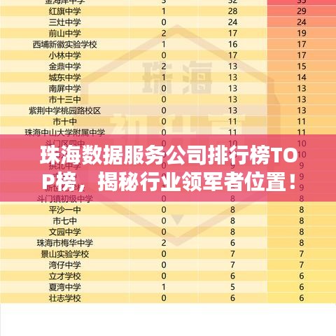 珠海数据服务公司排行榜TOP榜，揭秘行业领军者位置！