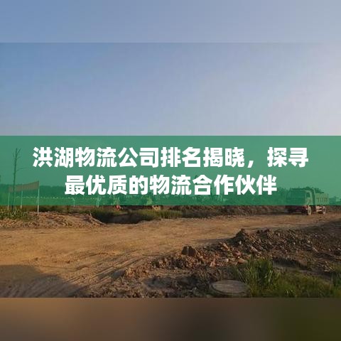 洪湖物流公司排名揭晓，探寻最优质的物流合作伙伴