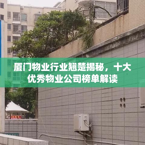 厦门物业行业翘楚揭秘，十大优秀物业公司榜单解读