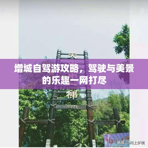 增城自驾游攻略，驾驶与美景的乐趣一网打尽