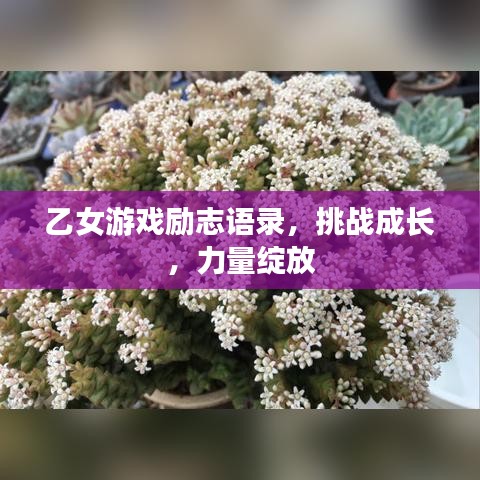 乙女游戏励志语录，挑战成长，力量绽放