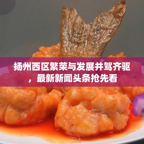 扬州西区繁荣与发展并驾齐驱，最新新闻头条抢先看