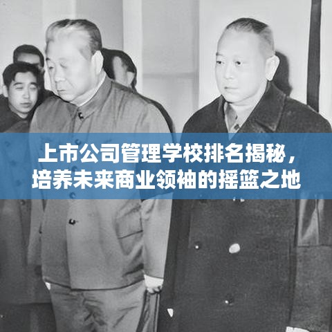 上市公司管理学校排名揭秘，培养未来商业领袖的摇篮之地