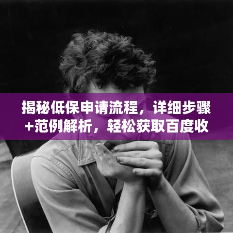 揭秘低保申请流程，详细步骤+范例解析，轻松获取百度收录！