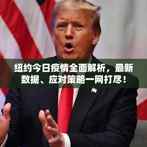 纽约今日疫情全面解析，最新数据、应对策略一网打尽！