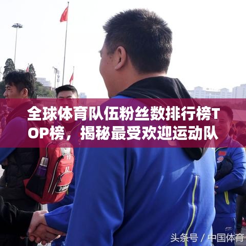 全球体育队伍粉丝数排行榜TOP榜，揭秘最受欢迎运动队的魅力！