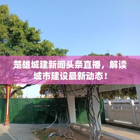 楚雄城建新闻头条直播，解读城市建设最新动态！