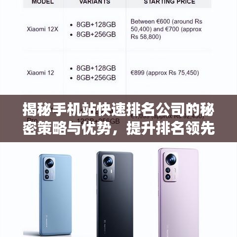 揭秘手机站快速排名公司的秘密策略与优势，提升排名领先地位！