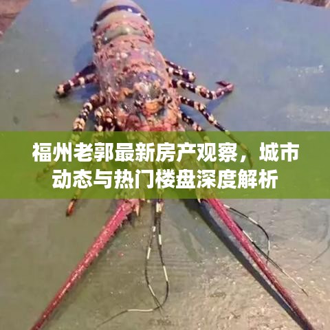 福州老郭最新房产观察，城市动态与热门楼盘深度解析