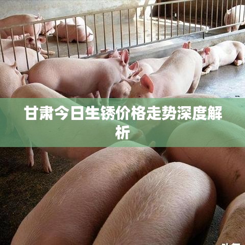 甘肃今日生锈价格走势深度解析