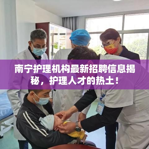 南宁护理机构最新招聘信息揭秘，护理人才的热土！