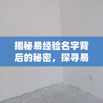 揭秘易经验名字背后的秘密，探寻易经智慧与百度技术的独特魅力