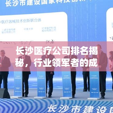 长沙医疗公司排名揭秘，行业领军者的成功之道解析