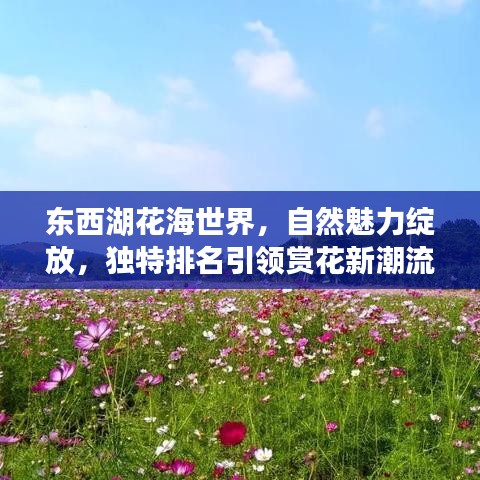 东西湖花海世界，自然魅力绽放，独特排名引领赏花新潮流