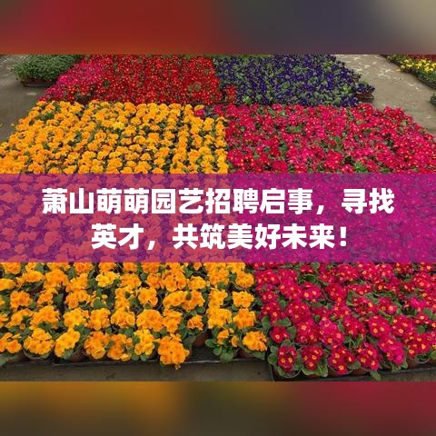 萧山萌萌园艺招聘启事，寻找英才，共筑美好未来！