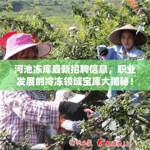 河池冻库最新招聘信息，职业发展的冷冻领域宝库大揭秘！