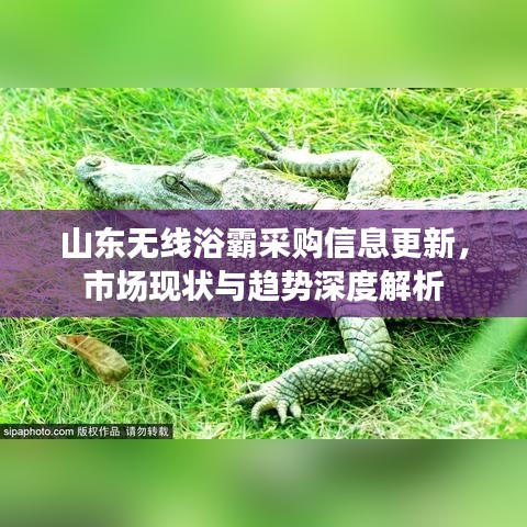 山东无线浴霸采购信息更新，市场现状与趋势深度解析