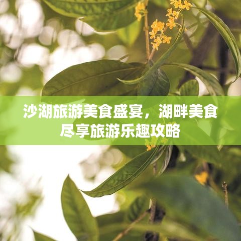 沙湖旅游美食盛宴，湖畔美食尽享旅游乐趣攻略