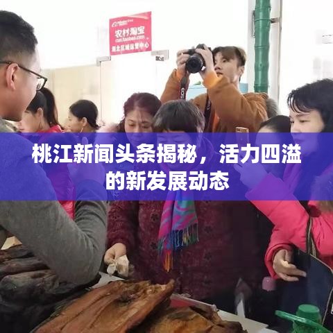 桃江新闻头条揭秘，活力四溢的新发展动态