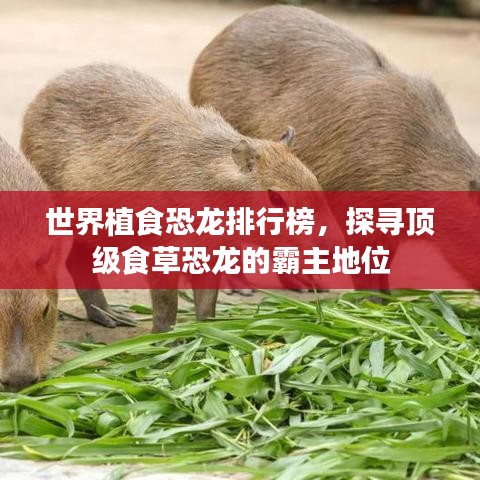 世界植食恐龙排行榜，探寻顶级食草恐龙的霸主地位