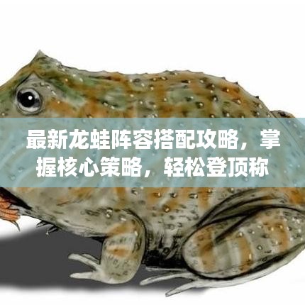 最新龙蛙阵容搭配攻略，掌握核心策略，轻松登顶称霸！