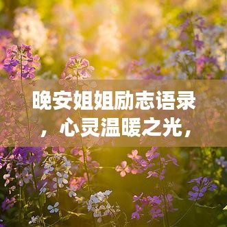 晚安姐姐励志语录，心灵温暖之光，照亮梦想灯塔