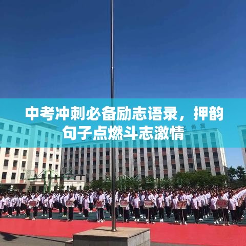 2025年6月29日 第4页